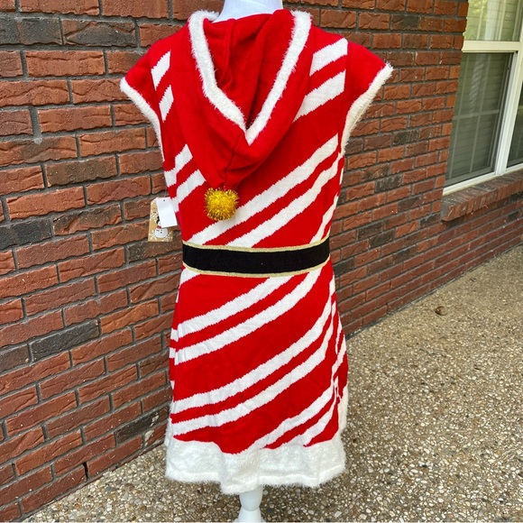 NWT Holiday Sweater Dress - Picture 3 of 3